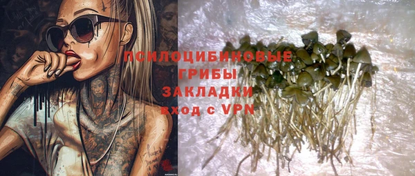 кокс Арсеньев