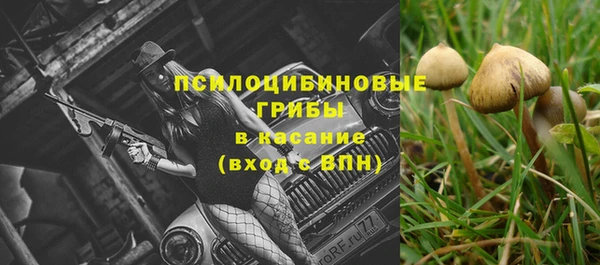 PSILOCYBIN Инсар