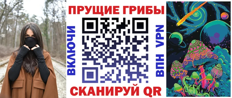 Галлюциногенные грибы мицелий  продажа наркотиков  Приозерск 