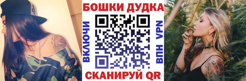 ссылка на мегу ONION  Приозерск  МАРИХУАНА сатива  купить наркотики сайты 